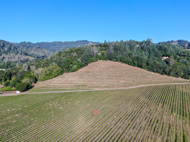 夏のシーズン中にナパバレーのワインブドウ園の航空写真。カリフォルニア州ワインカントリーのナパ郡は、サンフランシスコベイエリアのノースベイ地域の一部です。ブドウ園の風景. - 写真・画像