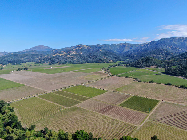 夏のシーズン中にナパバレーのワインブドウ園の航空写真。カリフォルニア州ワインカントリーのナパ郡は、サンフランシスコベイエリアのノースベイ地域の一部です。ブドウ園の風景. - 写真・画像