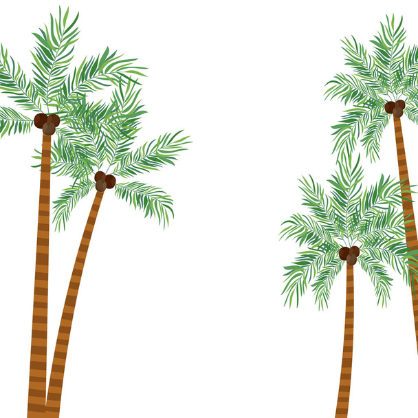 Beyaz arka planda hindistan cevizi olan palmiye ağacı - Vektör, Görsel