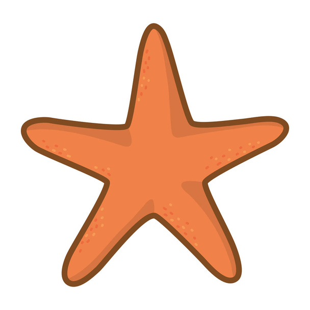 Oranje zeesterren cartoon - Vector, afbeelding
