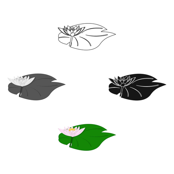 Lotus icon in cartoon,black style isolated on white background. India symbol stock vector illustration. - Vektor, kép