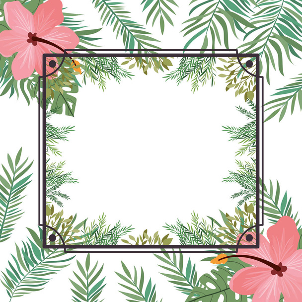 marco con flor y hojas de verano
 - Vector, Imagen