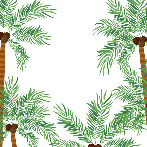 pattern of palm tree with coconut in white background - Vector, Image