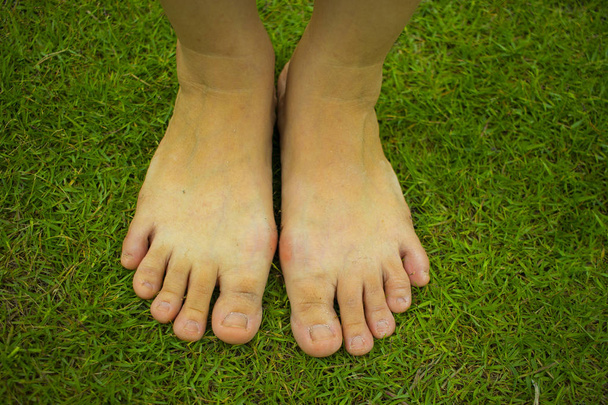 Les pieds nus de la jeune femme marchant sur l'herbe fraîche et verte au soleil
 - Photo, image