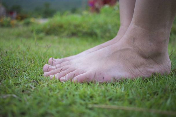 若い女性の裸足で太陽の下で新鮮な緑の芝生の上を歩く - 写真・画像