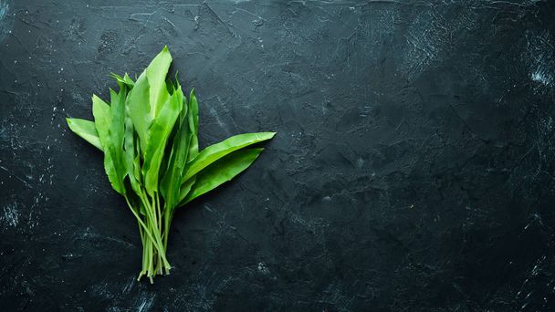 Fresh wild garlic leaves on black background. Wild leek. Top view. Free space for your text. - Foto, Imagen