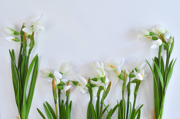 bouquet di bucaneve freschi su un tavolo bianco. Modo primaverile
 - Foto, immagini