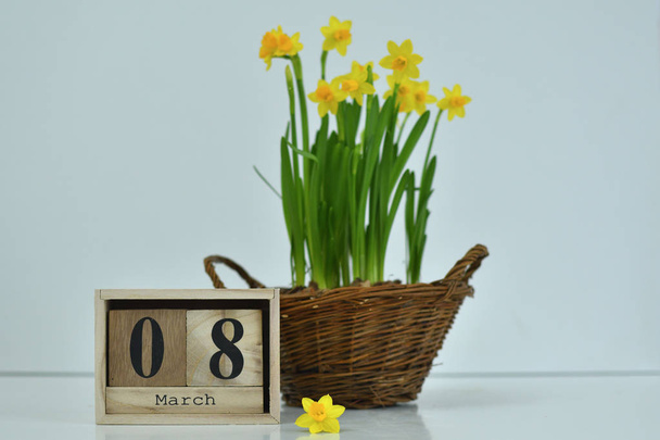 8 March composition on white background. March 8 text on wooden block calendar and one flower of yellow narcissus .basket of daffodils in the background - Photo, Image