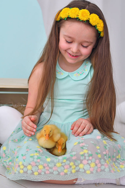Cute girl play with real rabbit and duckling. Laughing child at Easter egg hunt with white pet bunny. toddler girl playing with animal .Happy easter concept - Foto, immagini
