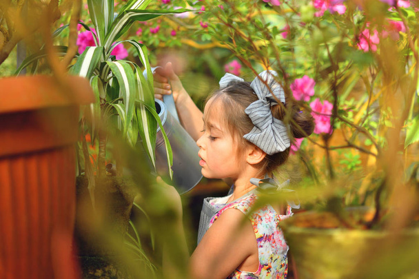 Ребенок сажает весенние цветы. красивая девушка садовник растений азалии. Ребенок заботится о растениях. Девушка поливает растения из лейки. Портрет
. - Фото, изображение