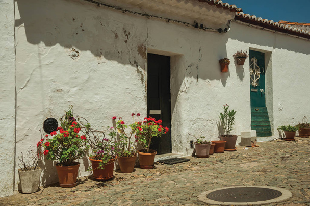 Skromný dům s květinovými vrty v Evoramonte - Fotografie, Obrázek