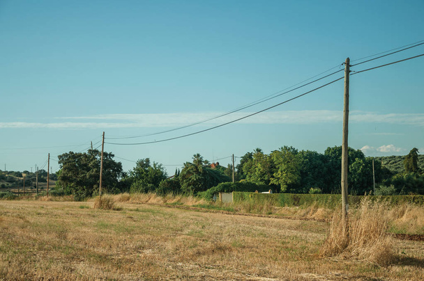 Light poles over field covered by straw - Foto, afbeelding