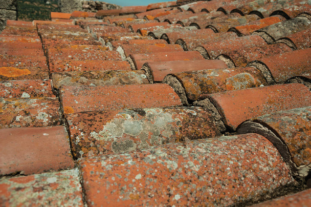 Close-up van Shingle op dak bedekt met mos en korstmossen - Foto, afbeelding