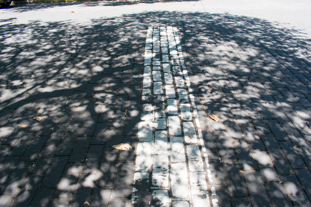 Camino pavimentado con línea blanca y sombras
 - Foto, Imagen