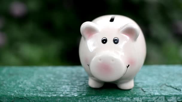 Mädchen wirft Münzen in rosa Sparschwein für Ersparnisse in der Natur - Filmmaterial, Video
