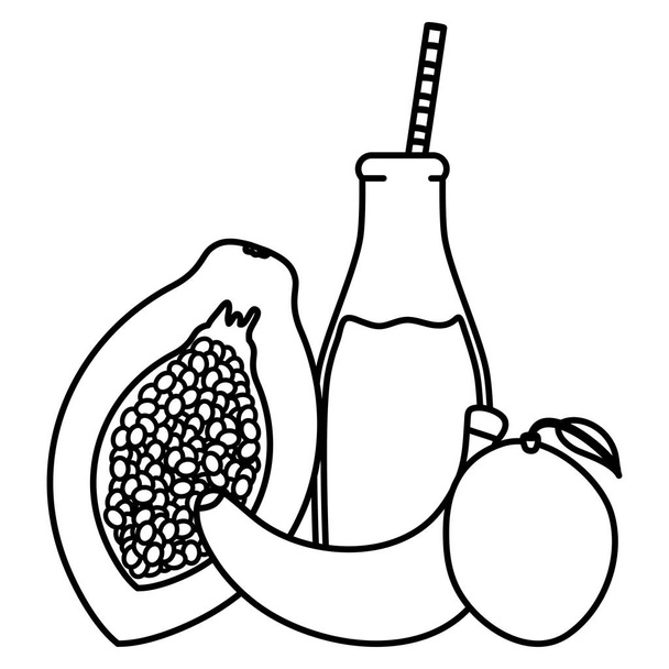 verse papaja en mango sapvruchten in botttle met stro - Vector, afbeelding