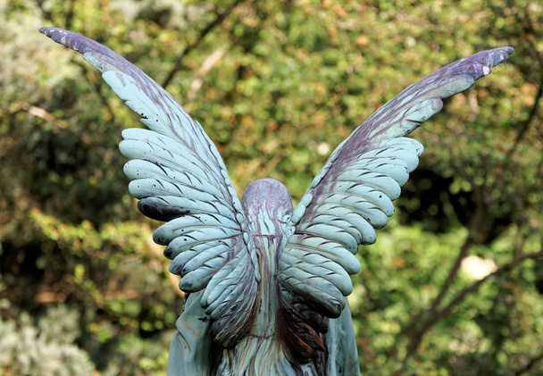 ケルンの墓地で天使の翼 - 写真・画像