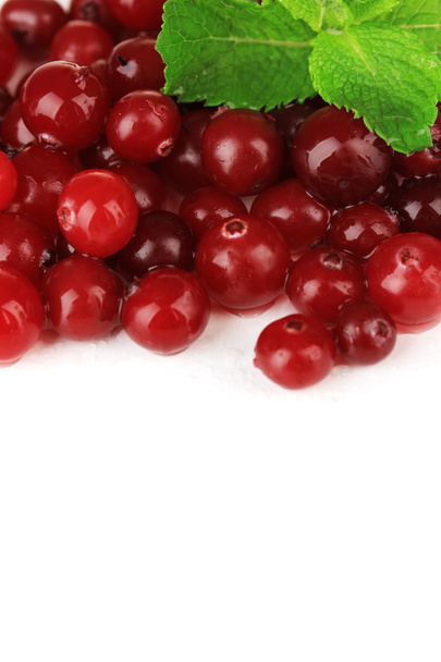Ripe red cranberries, isolated on whit - Foto, Imagem