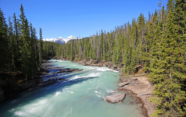 Turquoise Kicking Horse River-British Columbia, Canada - Foto, afbeelding