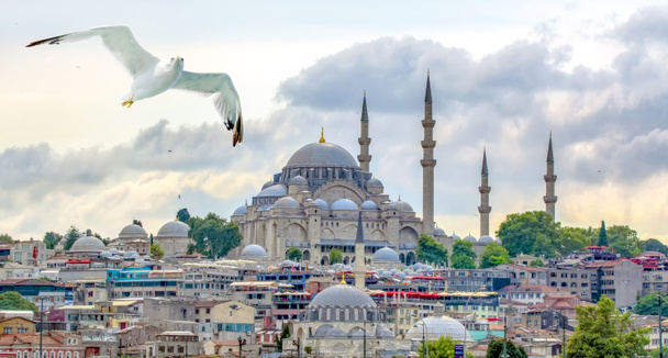 Meczet Sulejmana Sleymaniye Meczet jest imperial meczetem znajduje się na trzecim Hill w Stambule, Turcja.  - Zdjęcie, obraz