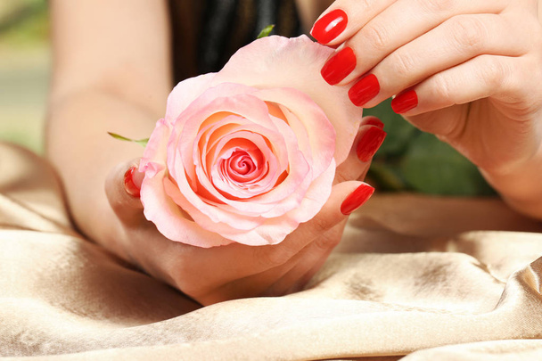 Woman holding rose in manicured hands with red nail polish on fabric, closeup - Foto, Bild