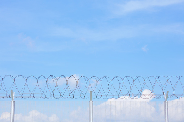 Цепной забор с колючей проволокой
 - Фото, изображение