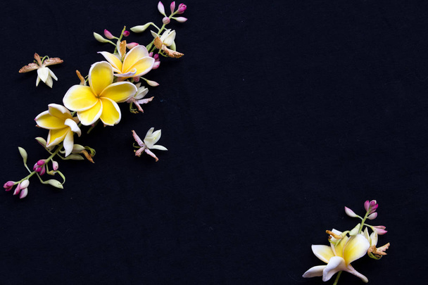 Желтые цветы frangipani местной флоры расположения Азии плоские лежат стиль открытки на заднем плане черный
 - Фото, изображение