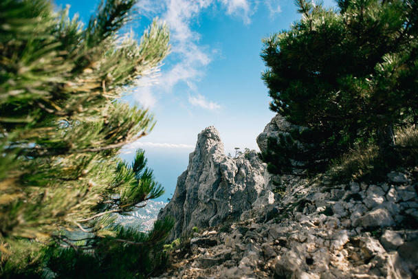 Mount Ai-Petri over the Black Sea in summer, Crimea, Ukraine. Beautiful Panorama of Crimea Coast on Sunny Day. - Foto, immagini