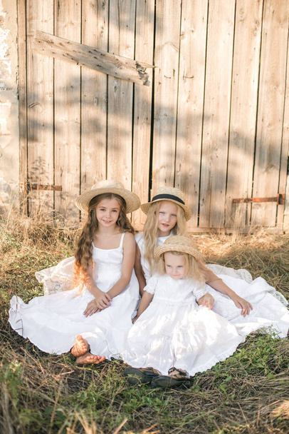 Cute little girls with blond long hair in a summer field at sunset in white dresses with a straw hat - Valokuva, kuva