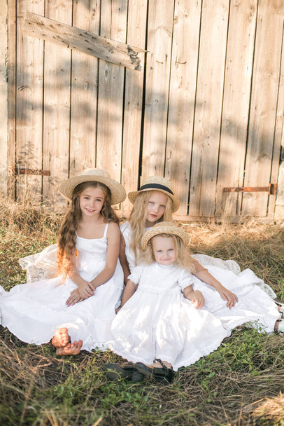Cute little girls with blond long hair in a summer field at sunset in white dresses with a straw hat - Foto, afbeelding