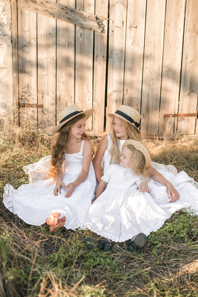Meninas bonitos com cabelos longos loiros em um campo de verão ao pôr do sol em vestidos brancos com um chapéu de palha
 - Foto, Imagem