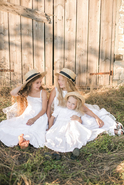 Cute little girls with blond long hair in a summer field at sunset in white dresses with a straw hat - Photo, image