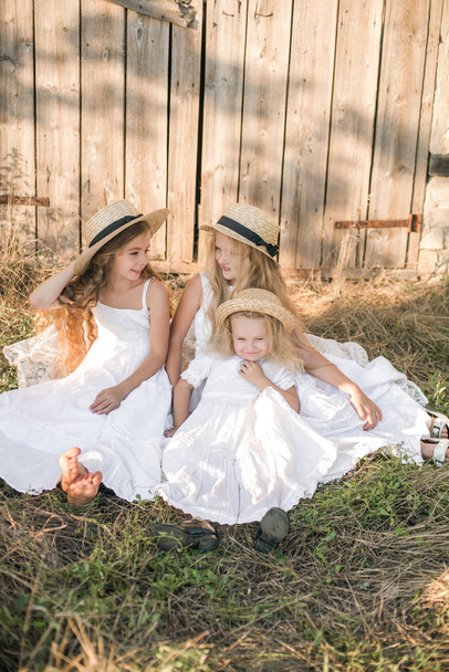 Cute little girls with blond long hair in a summer field at sunset in white dresses with a straw hat - Foto, Imagen