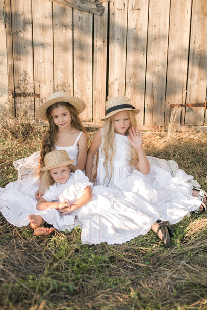 Cute little girls with blond long hair in a summer field at sunset in white dresses with a straw hat - Fotografie, Obrázek