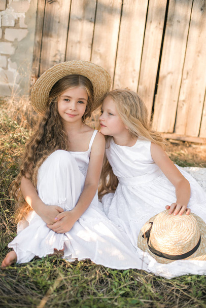 Cute little girls with blond long hair in a summer field at sunset in white dresses with a straw hat - 写真・画像
