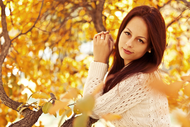 Beautiful elegant woman standing in a park in autumn - Photo, image