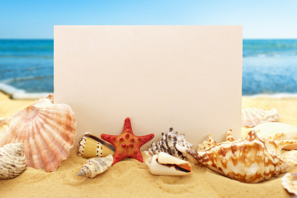 Blank paper with seashells on beach - Photo, Image
