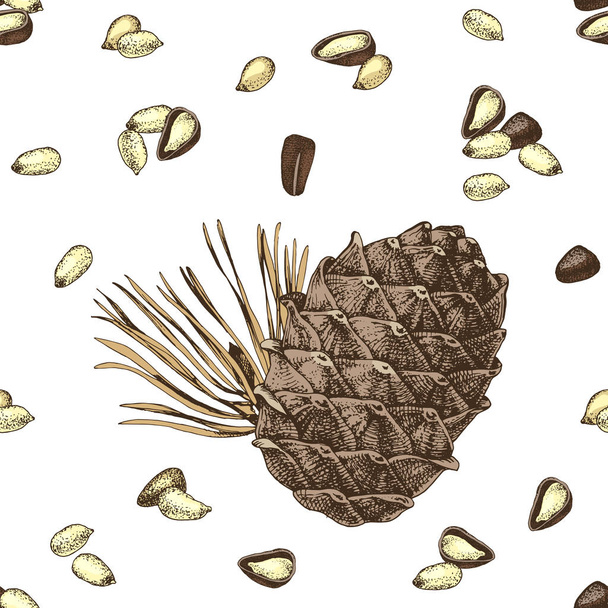 Seamless pattern with hand drawn cedar bump and pine nuts - Vector, Imagen
