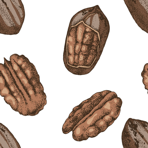 Seamless pattern with hand drawn pecan nuts - Vektor, Bild