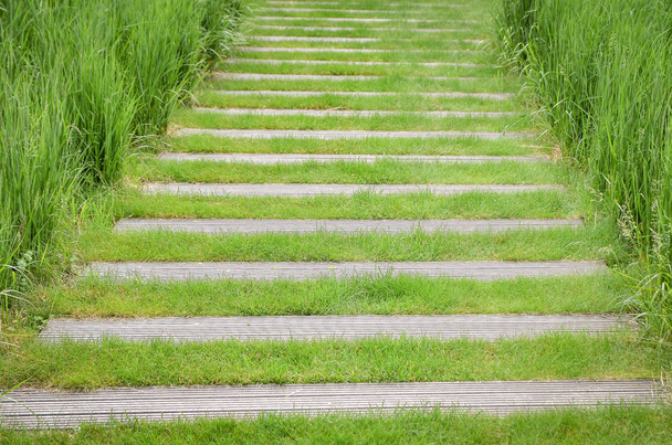 Ścieżka trawy w ogrodzie, wykonana z drewna i trawy. Koncepcja przyjazna środowisku. - Zdjęcie, obraz