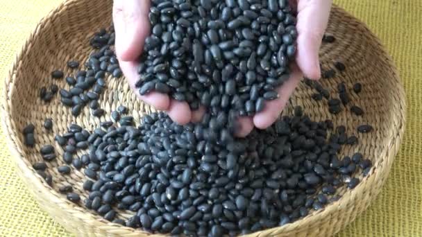 Černé fazole v koši (frijoles Negros) - Záběry, video