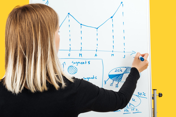 back view of businesswoman standing near white flipchart, drawing graphics and diagrams - Photo, Image