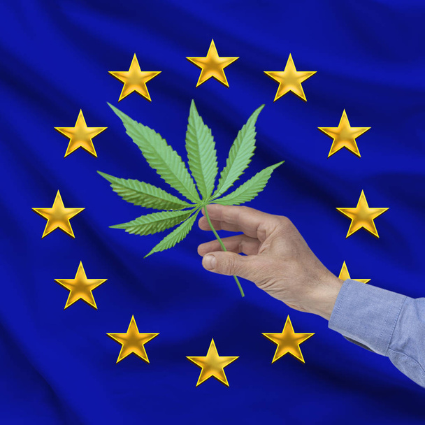 male hand holding a sheet of marijuana against the background of the flag of EU, close-up, square - Fotó, kép