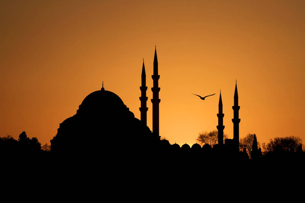 Moschea Suleymaniye / Sleymaniye Camii
 - Foto, immagini