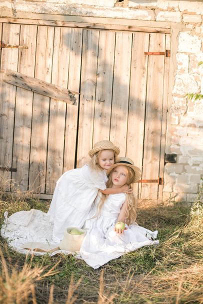 Cute girl with blond long hair with a younger sister in a summer field at sunset with a white dress with a straw hat with green apples - Fotó, kép