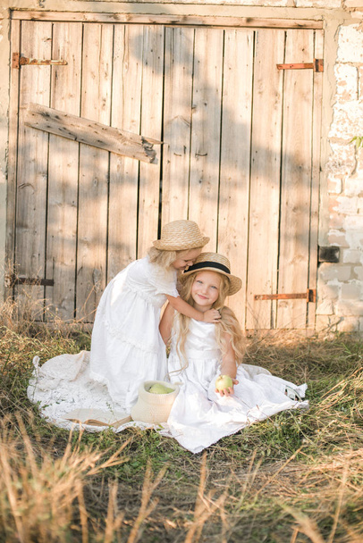 Cute girl with blond long hair with a younger sister in a summer field at sunset with a white dress with a straw hat with green apples - Valokuva, kuva