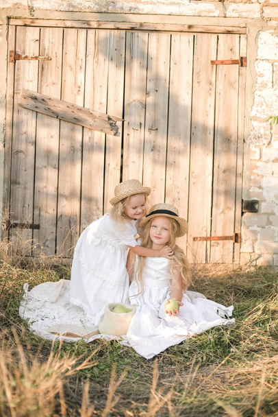Cute girl with blond long hair with a younger sister in a summer field at sunset with a white dress with a straw hat with green apples - Photo, image