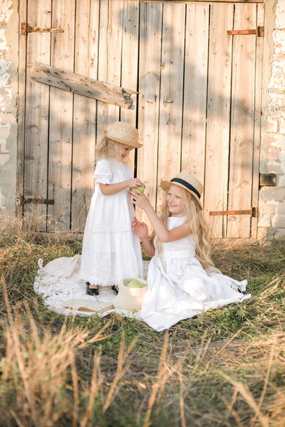 Cute girl with blond long hair with a younger sister in a summer field at sunset with a white dress with a straw hat with green apples - Foto, afbeelding