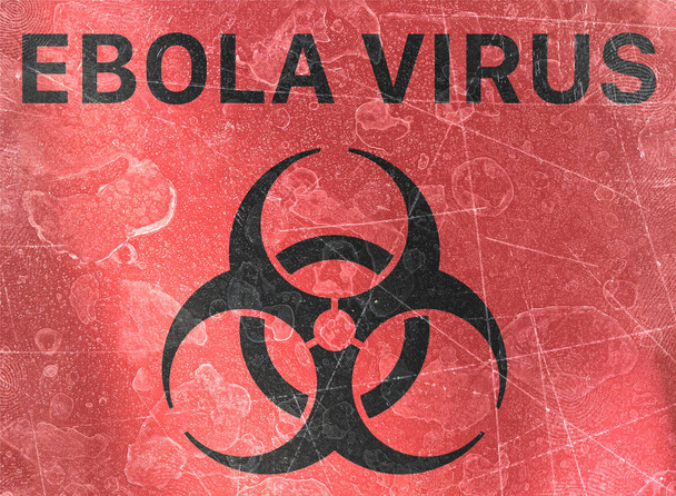 Ebolavirus. Zeichen, die auf das Vorhandensein biologischer Gefahren hinweisen, Biohazards, beziehen sich auf biologische Substanzen, die eine Bedrohung für die Gesundheit lebender Organismen darstellen, in erster Linie für den Menschen. Viren und Bakterien - Foto, Bild