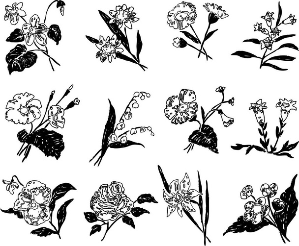 A set of different stylized drawn flowers - Vector, Image